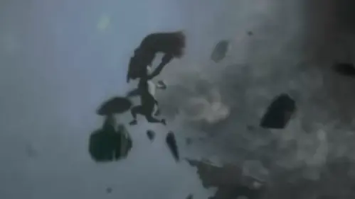 刷头精诺柯