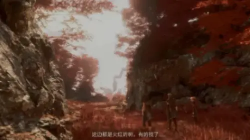古代圣所