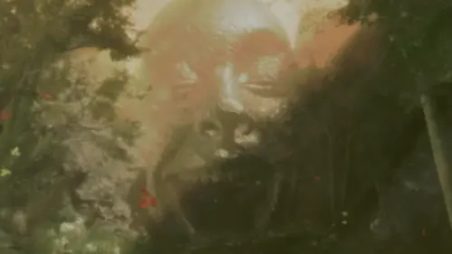 喜悦谷